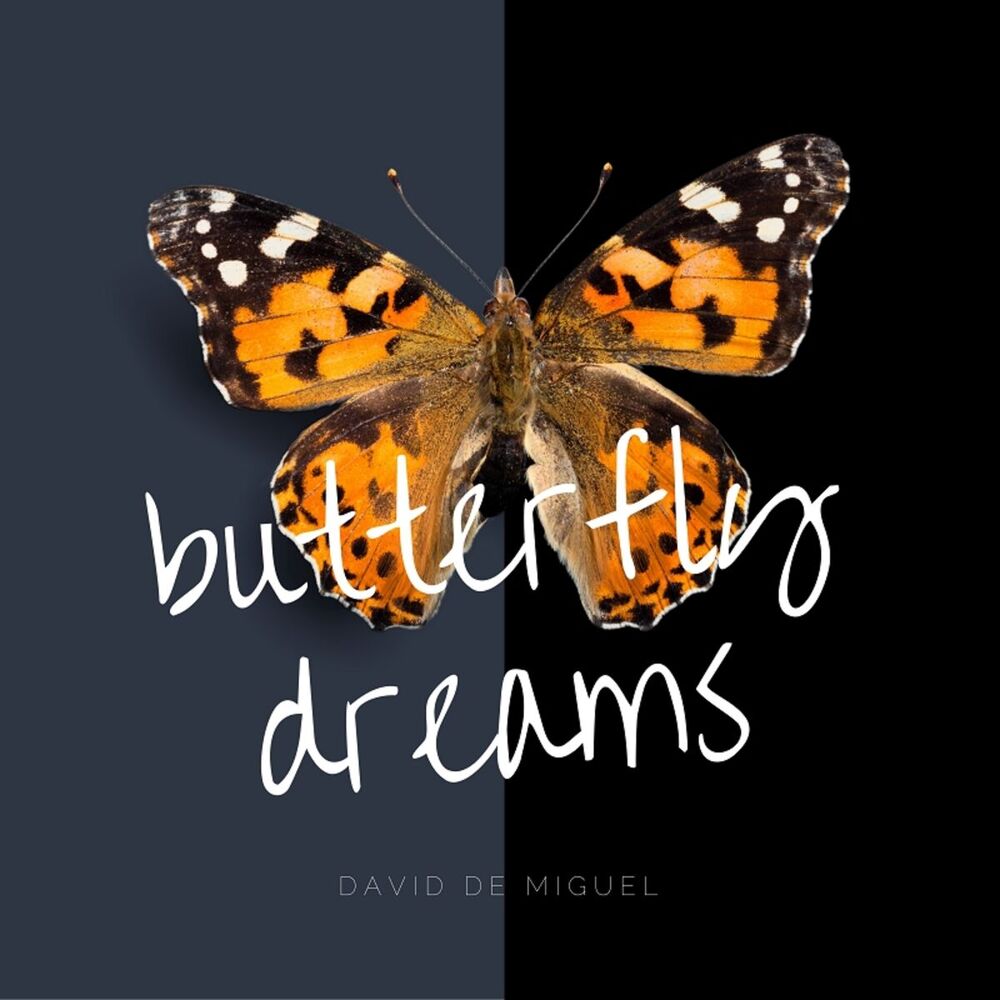 Picture of Butterfly Dreams