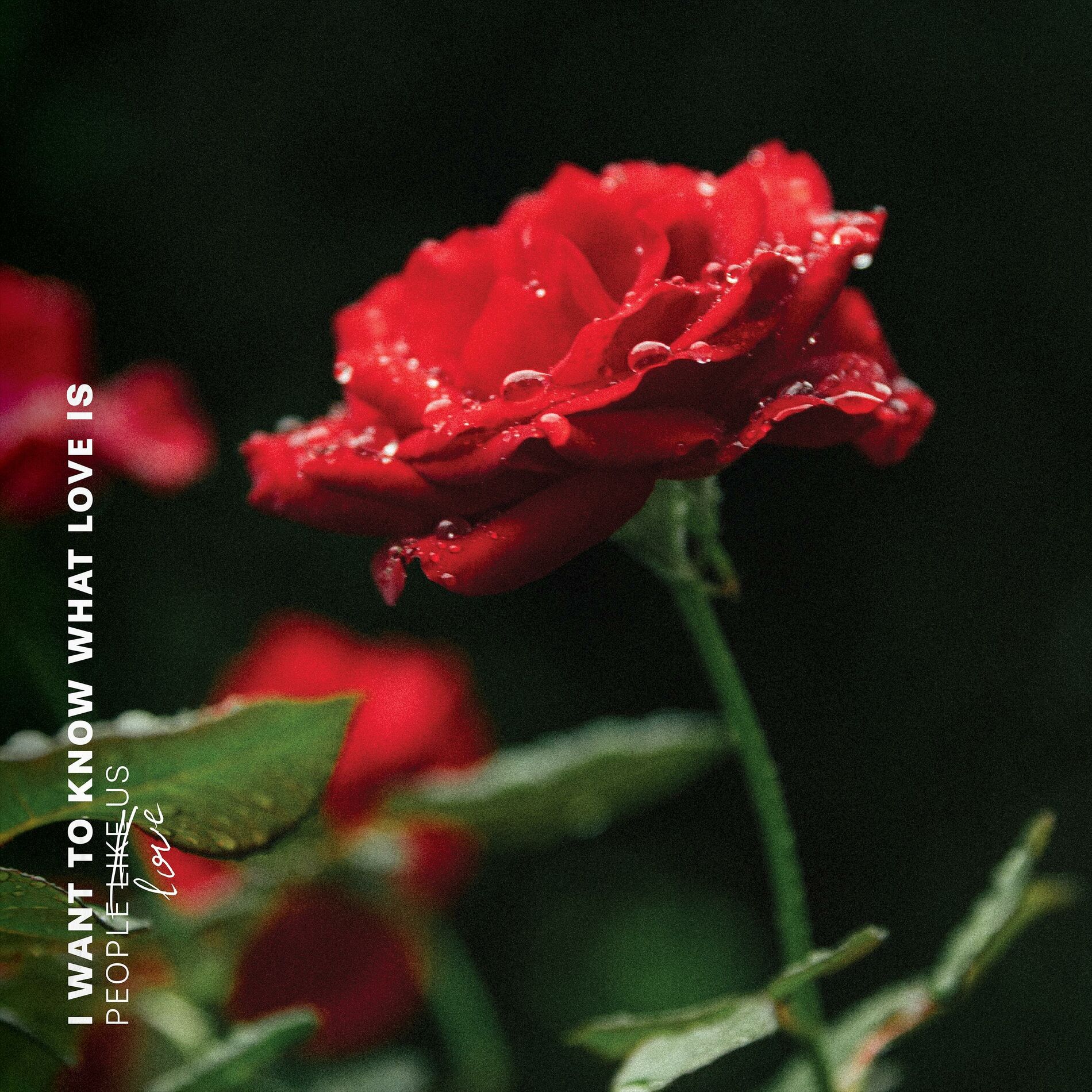 Album cover of I Want to Know What Love Is