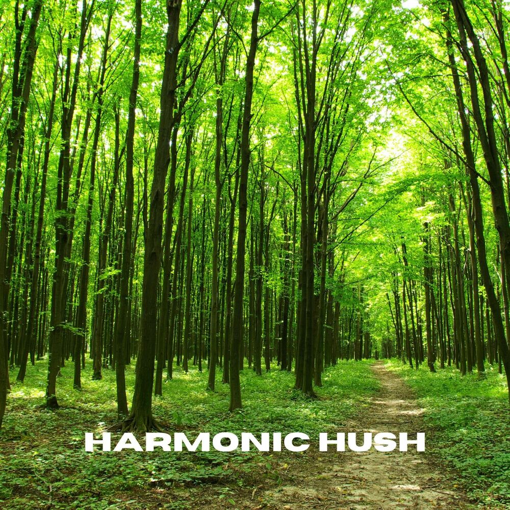 Picture of Harmonic Hush