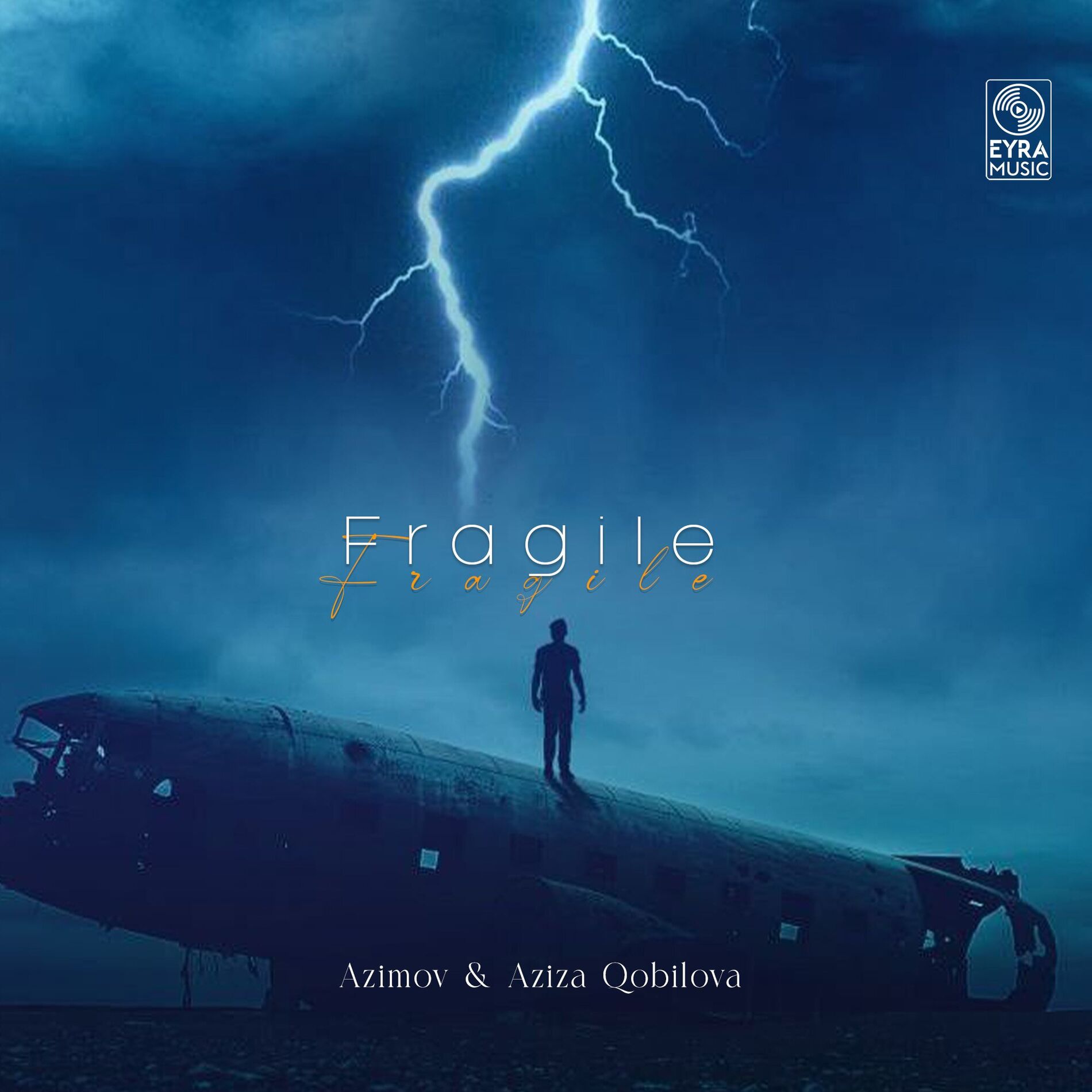 Album cover of Fragile