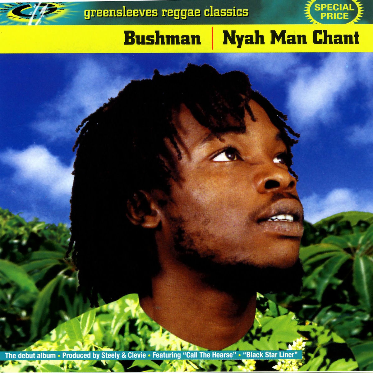 Album cover of Nyah Man Chant