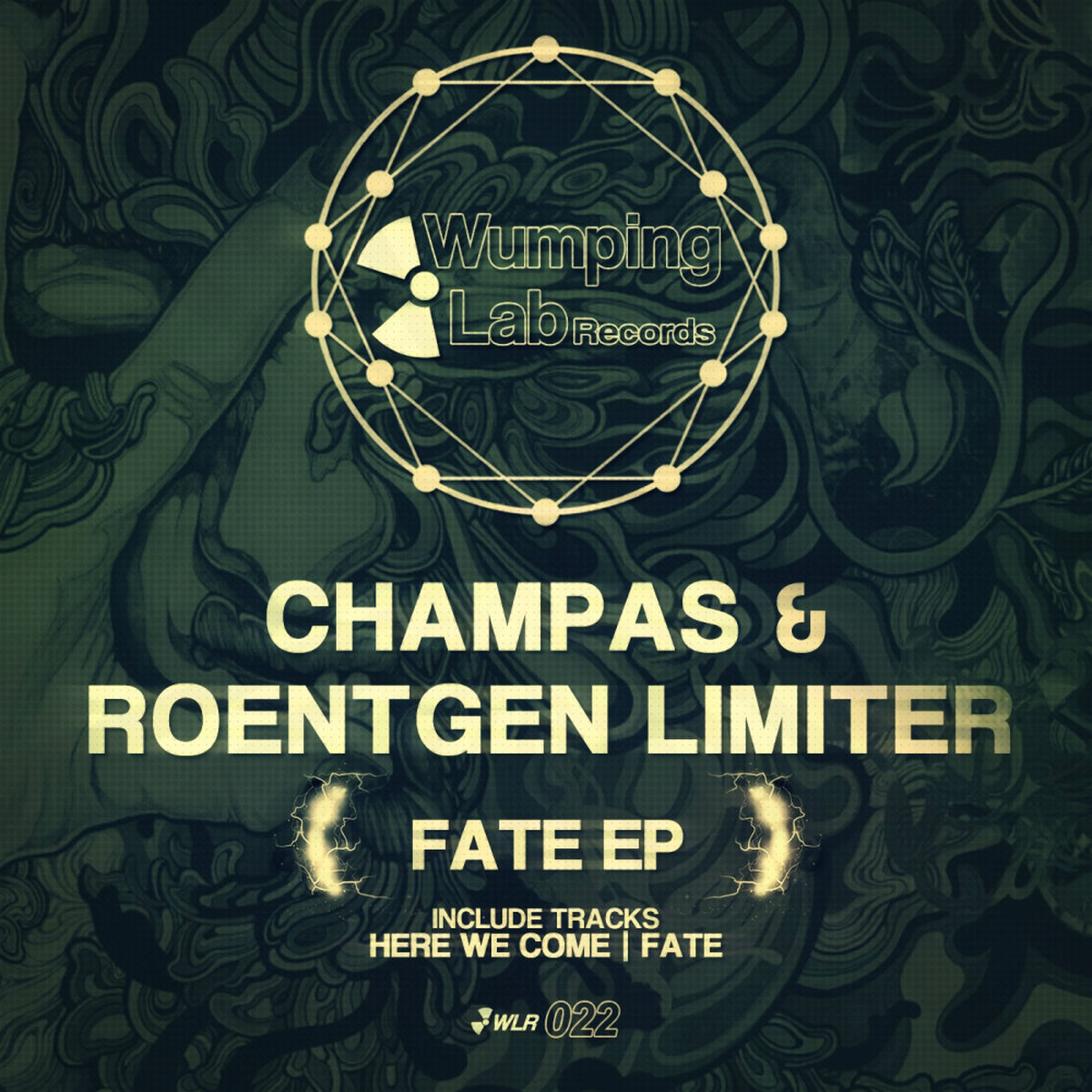 Album cover of Fate