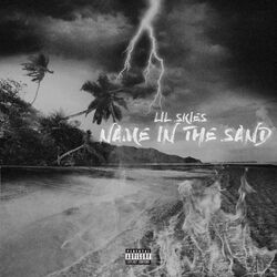 Cover of Name in the Sand