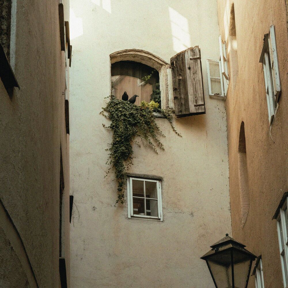 Picture of rue royale
