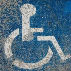 Cover of Handicap