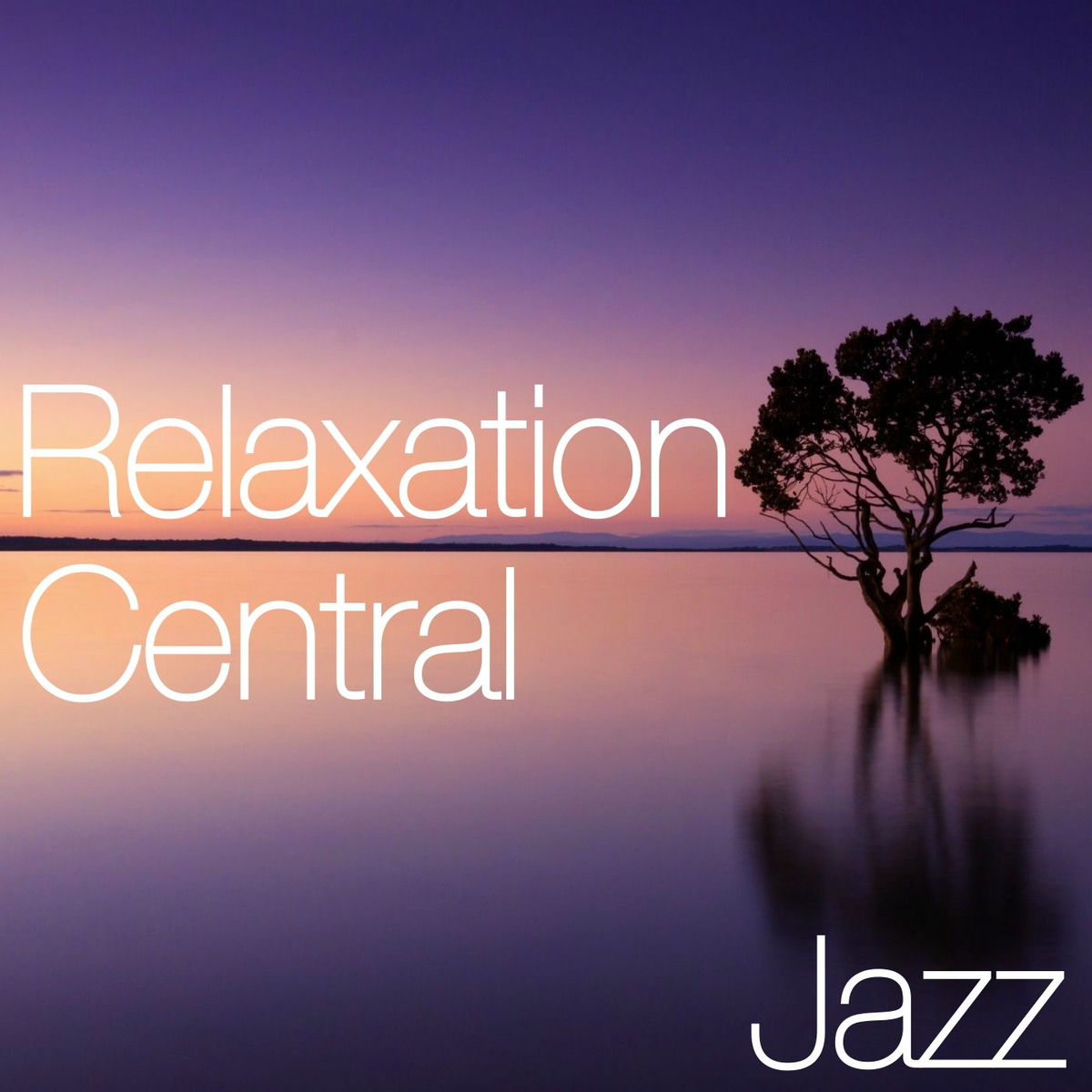 Album cover of Relaxation Central Jazz