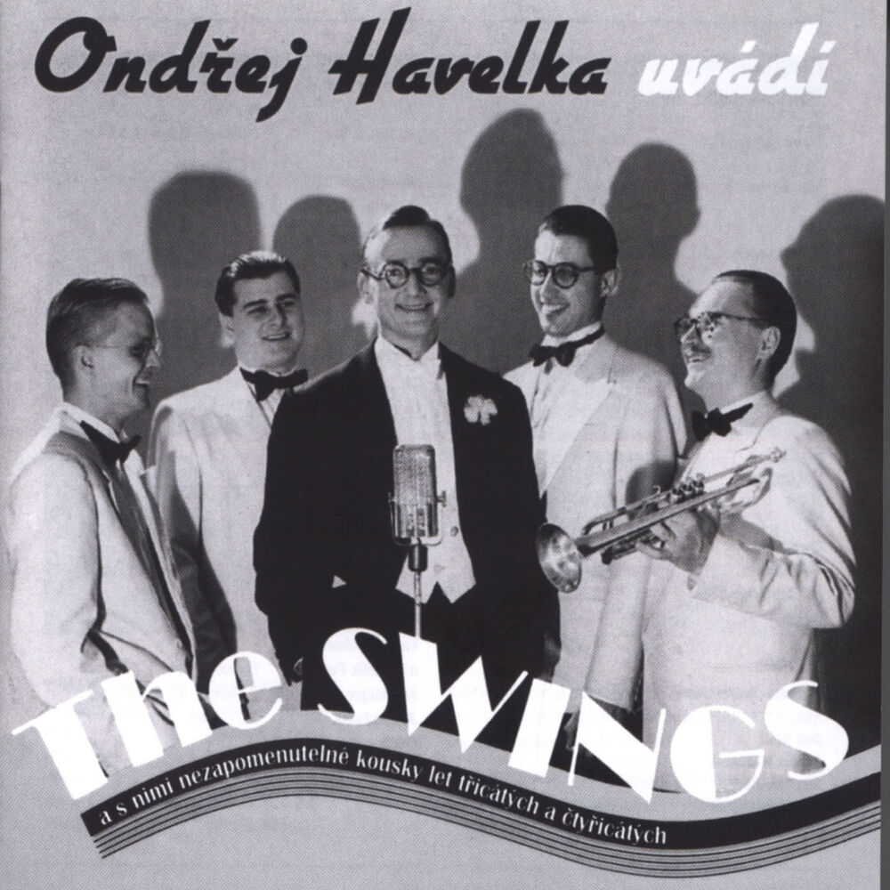 Picture of Ondrej Havelka uvádí The Swings
