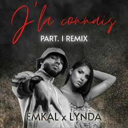Cover of J'la connais, Pt. 1 (Remix)