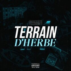 Cover of Terrain d'herbe #1