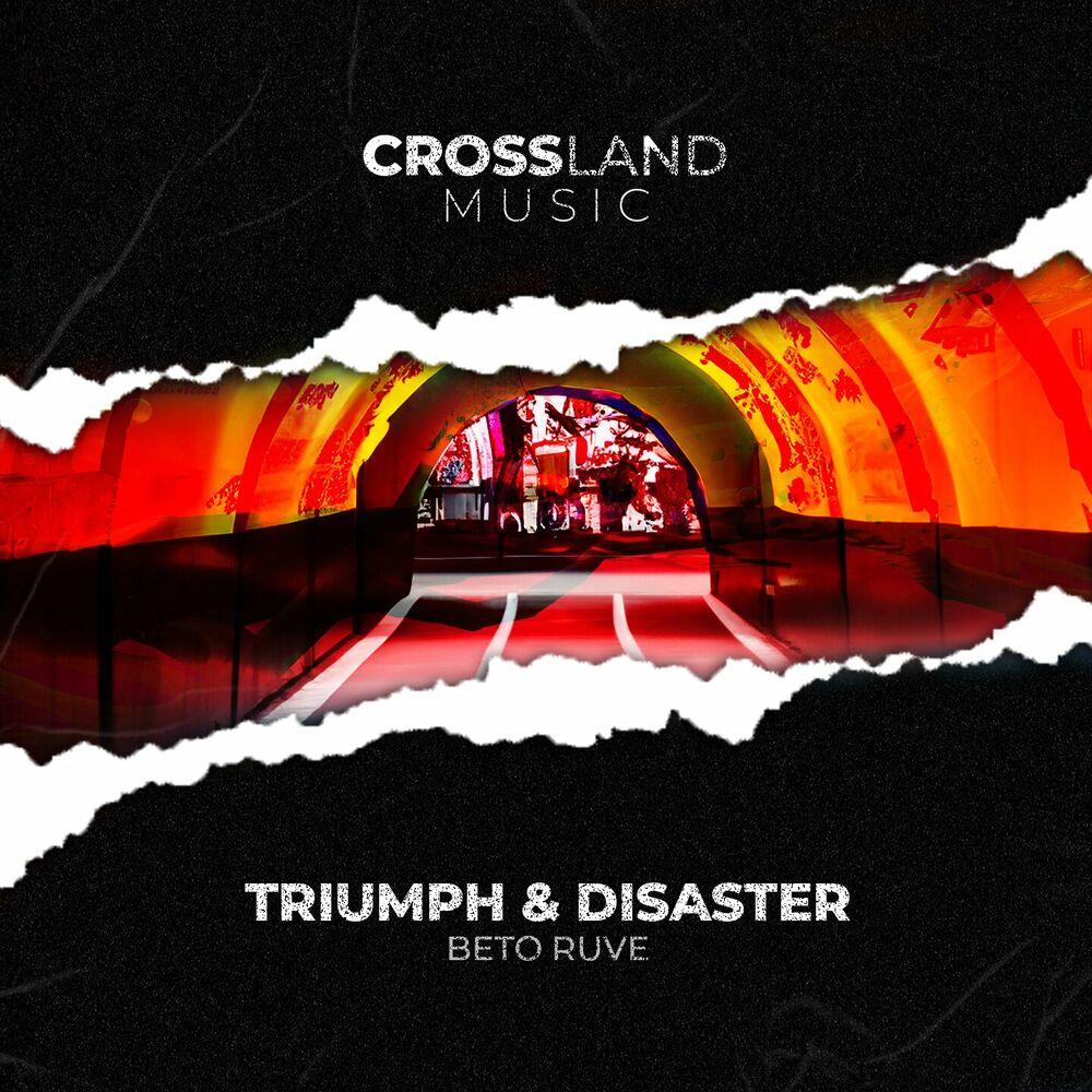 Picture of Triumph & Disaster