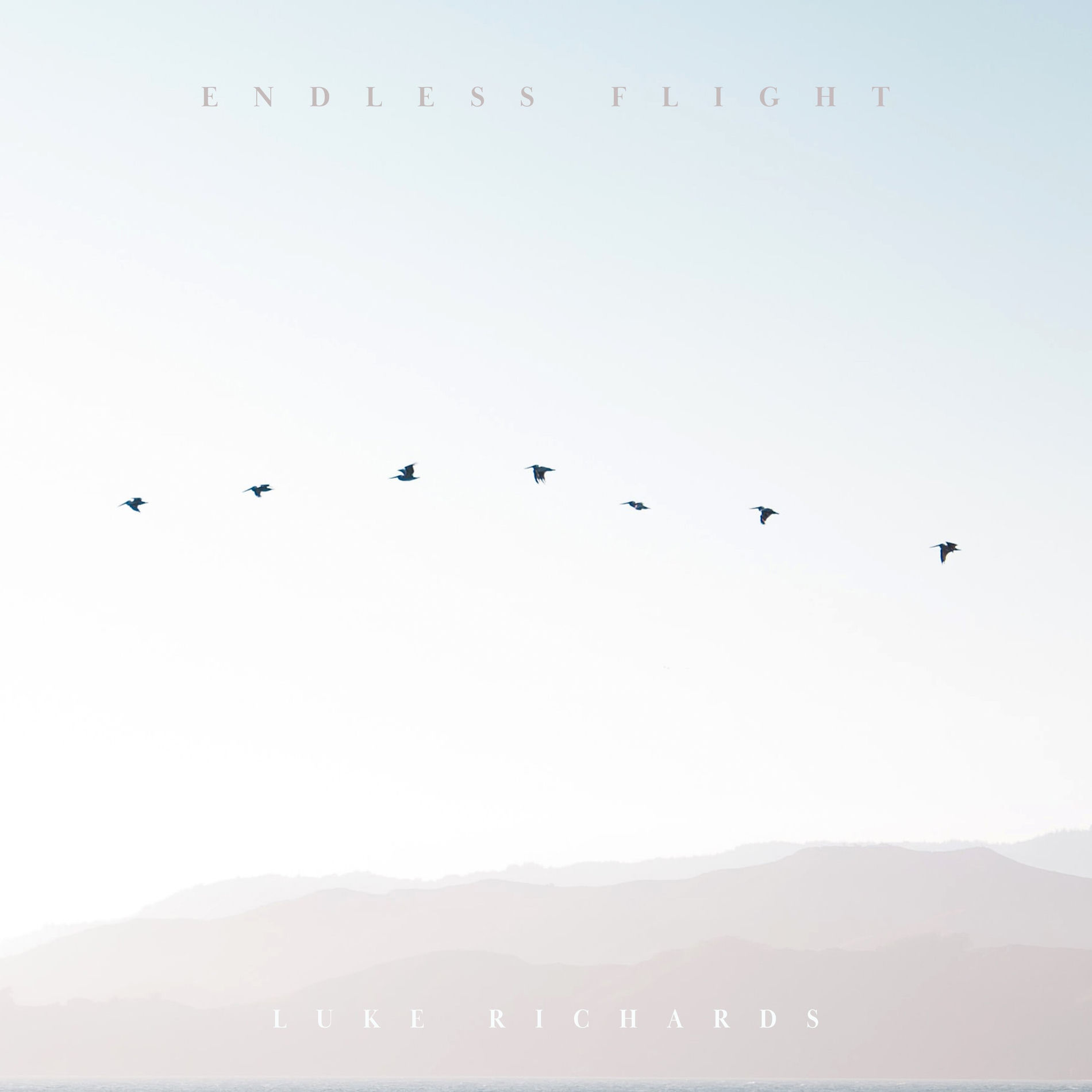 Album cover of Endless Flight