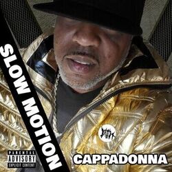 Cover of Slow Motion