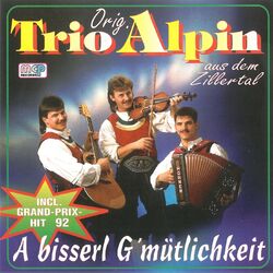 Cover of A bisserl G’mütlichkeit