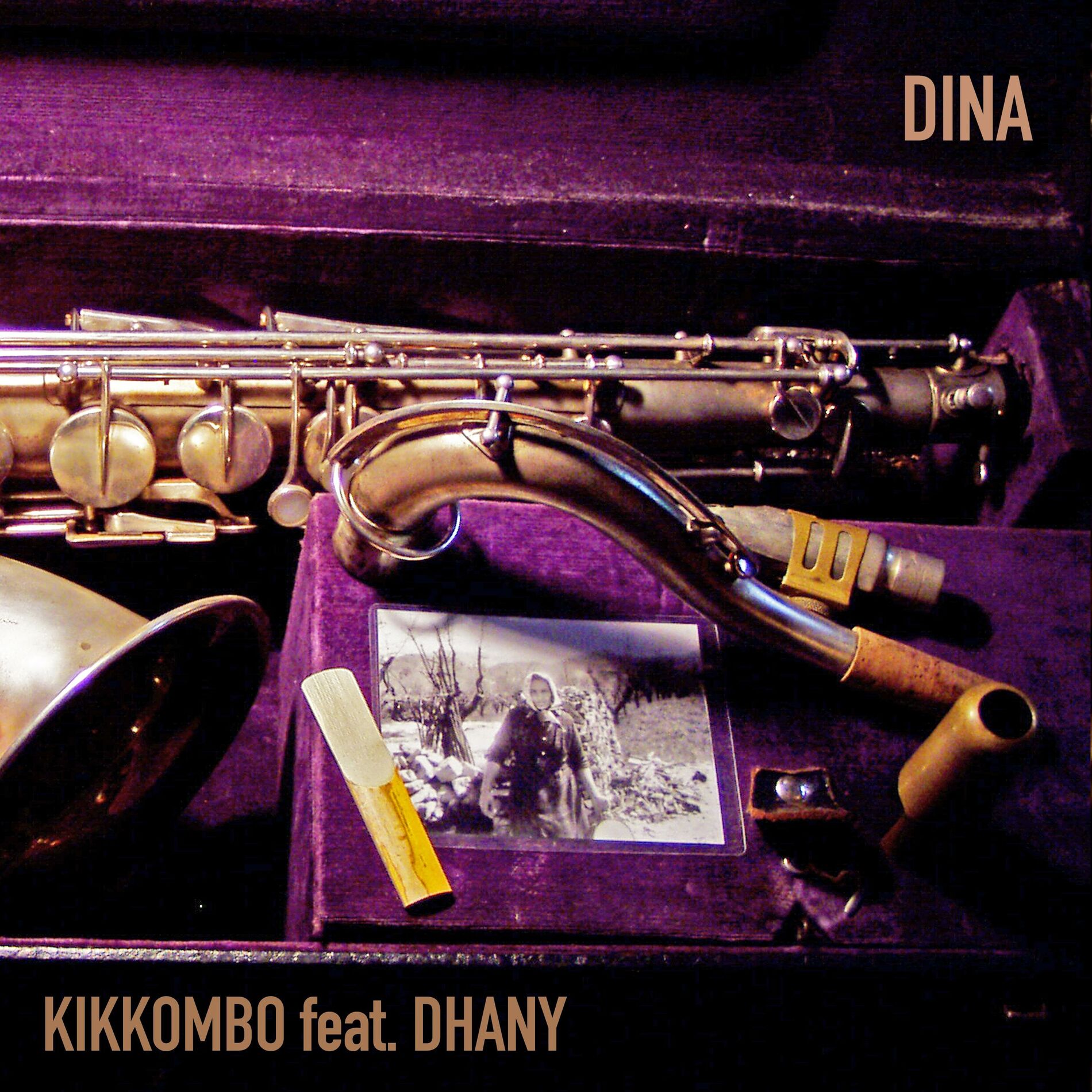 Album cover of Dina (feat. Dhany)