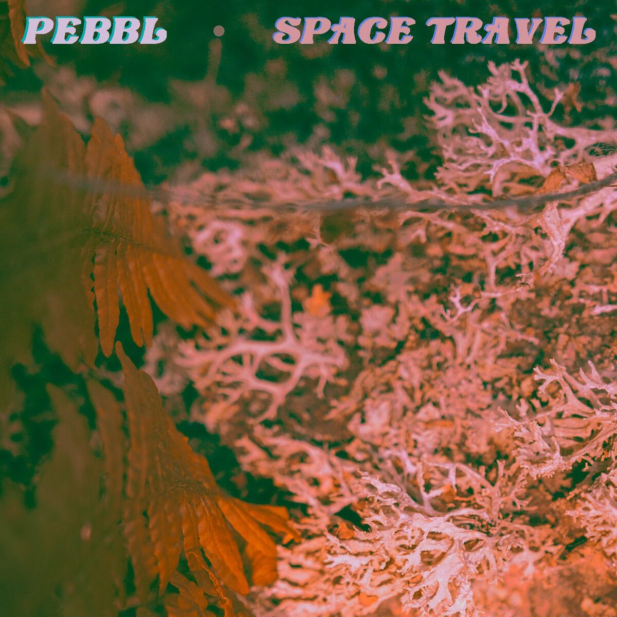 Album cover of Space Travel