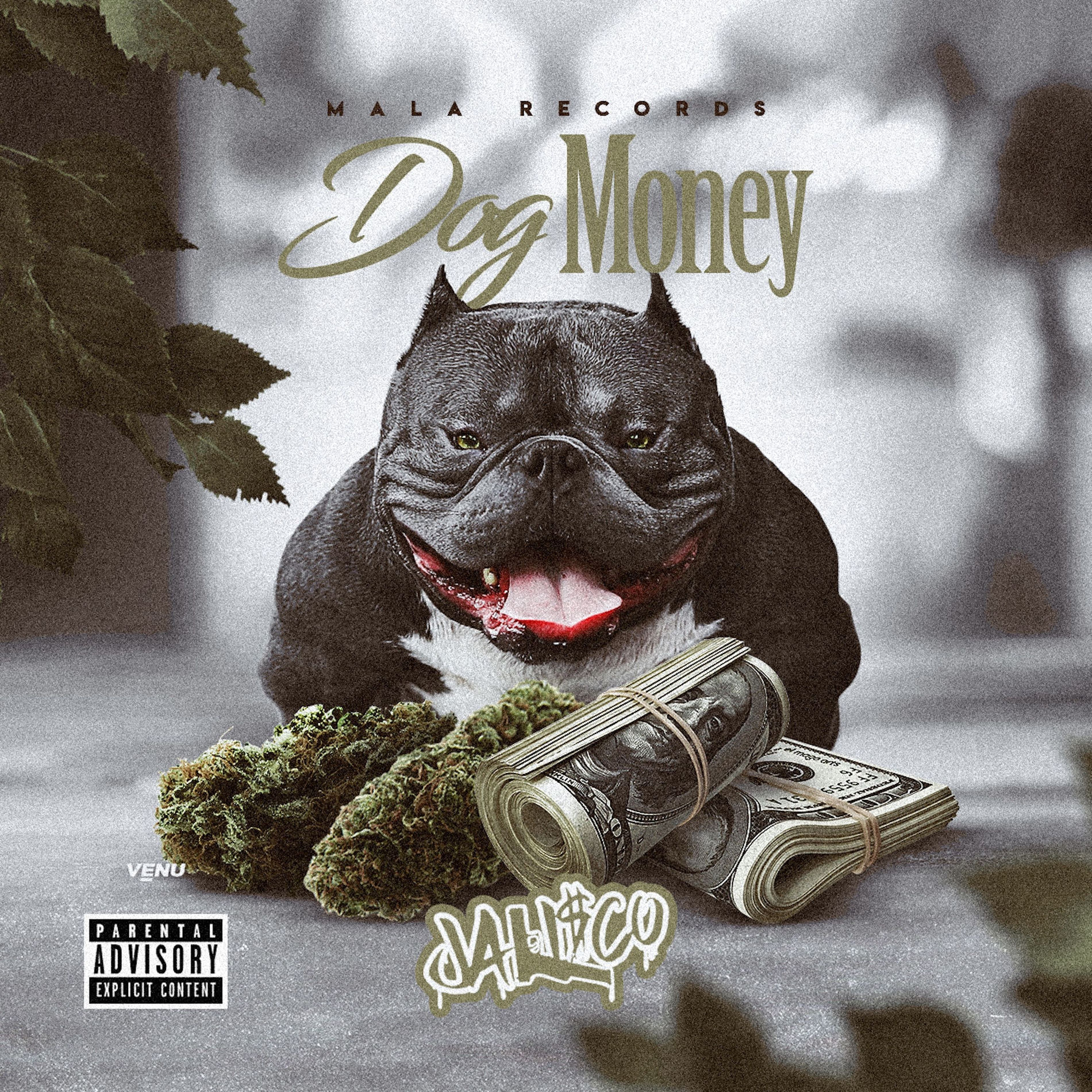 Album cover of Dog Money