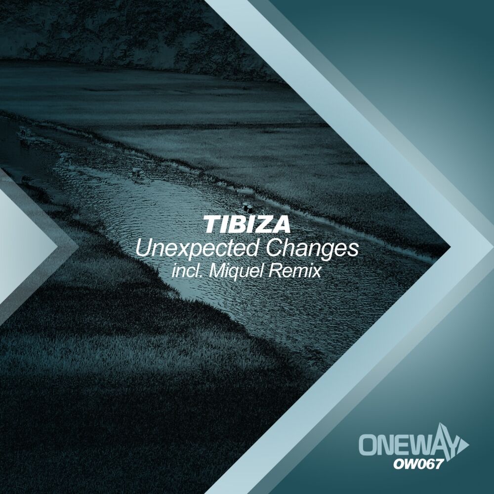 Picture of Unexpected Changes