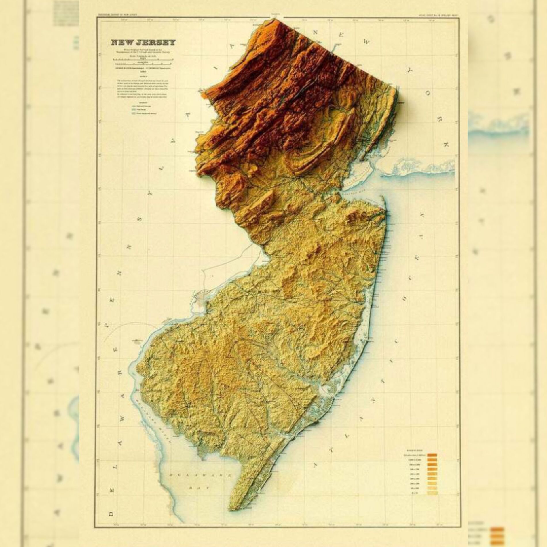 Album cover of Jersey