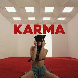 Cover of KARMA