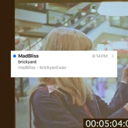 Cover of brickyard