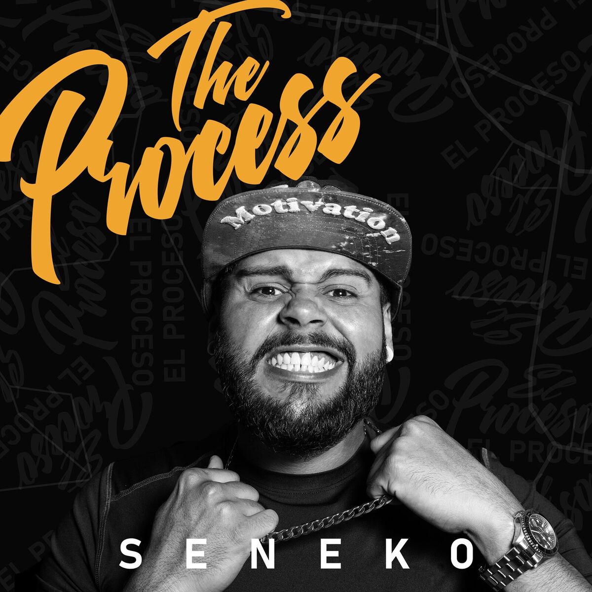 Album cover of The Process