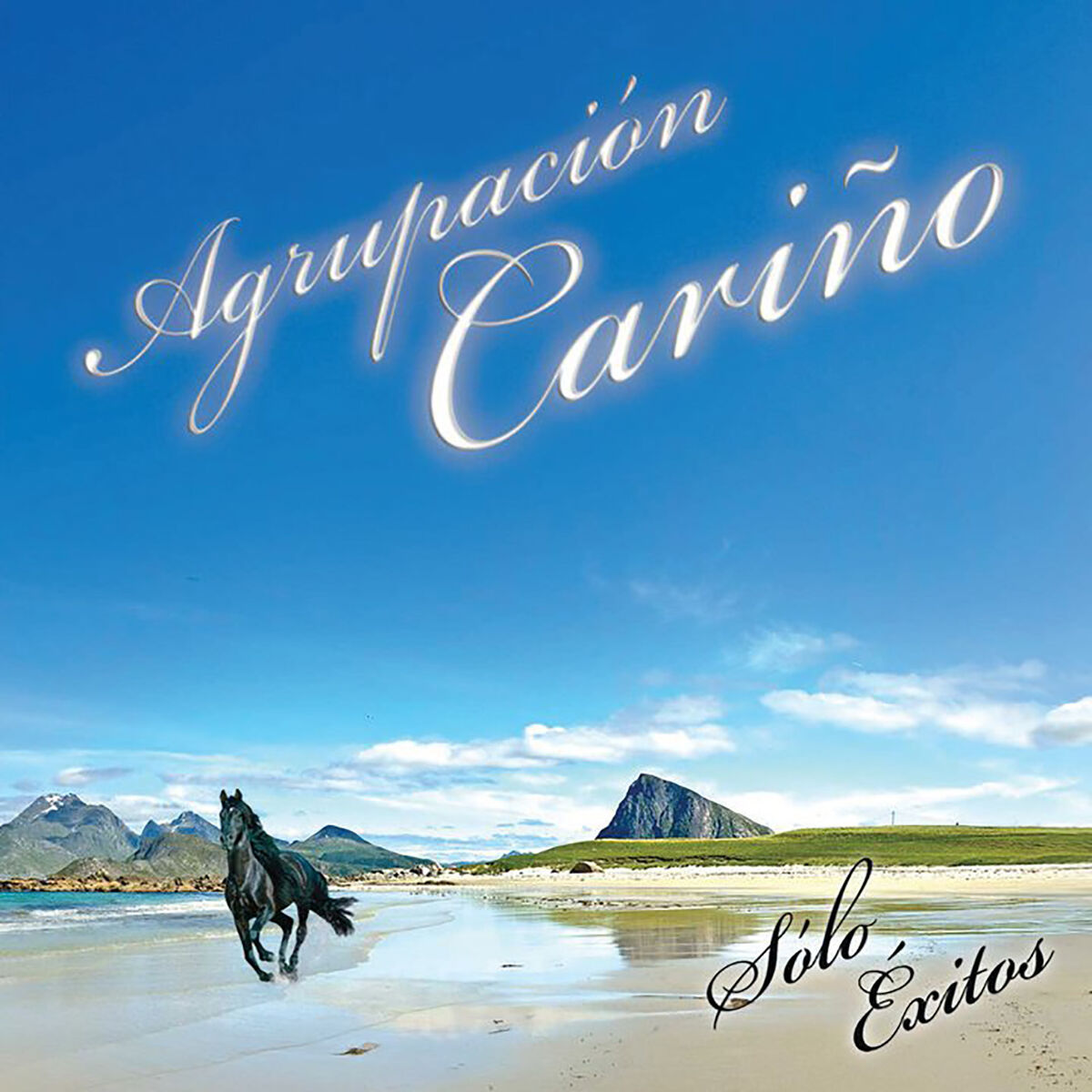 Album cover of Sólo Éxitos