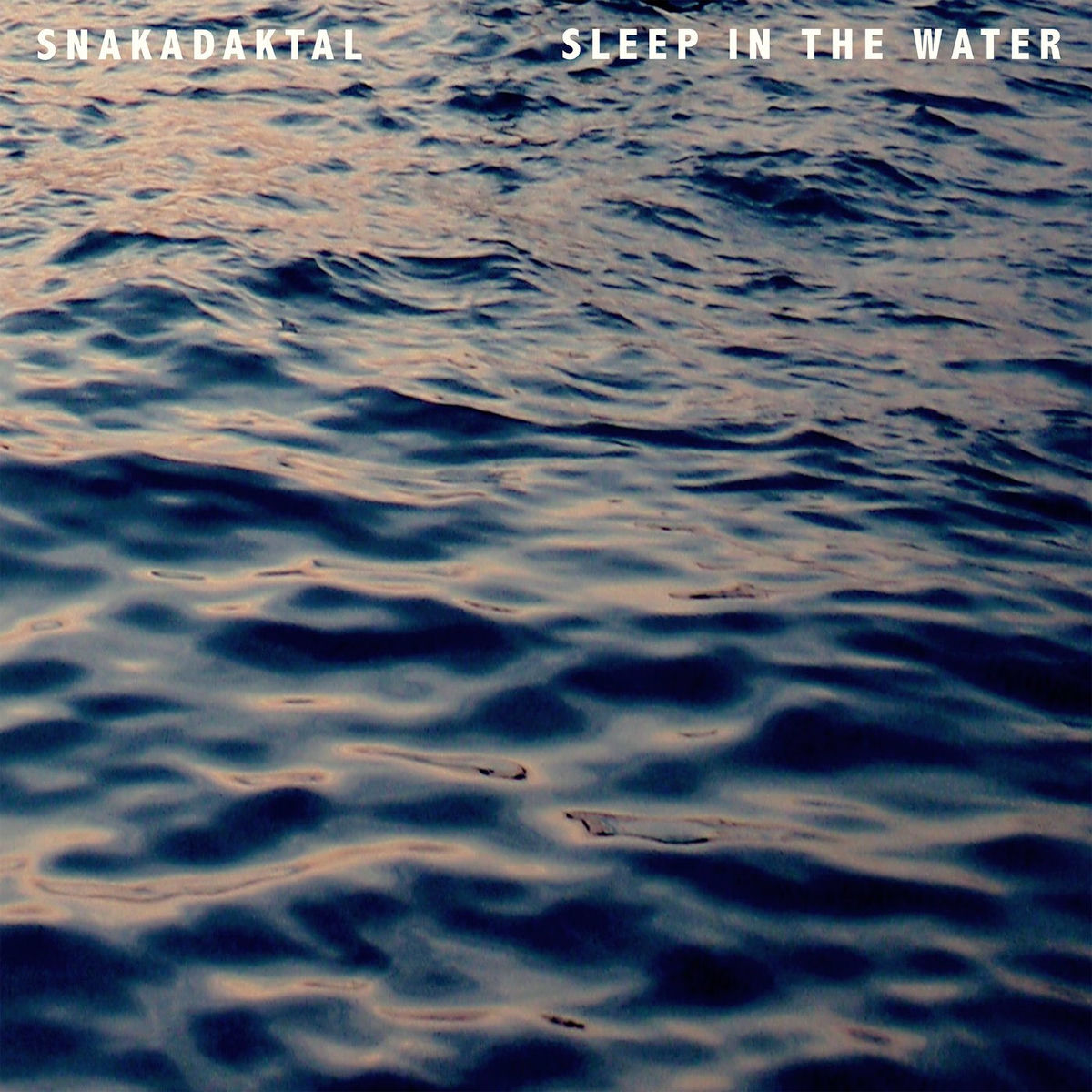 Album cover of Sleep In The Water
