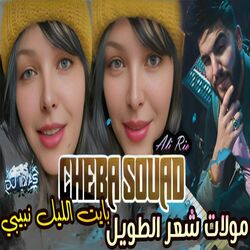 Cover of مولات شعر الطويل