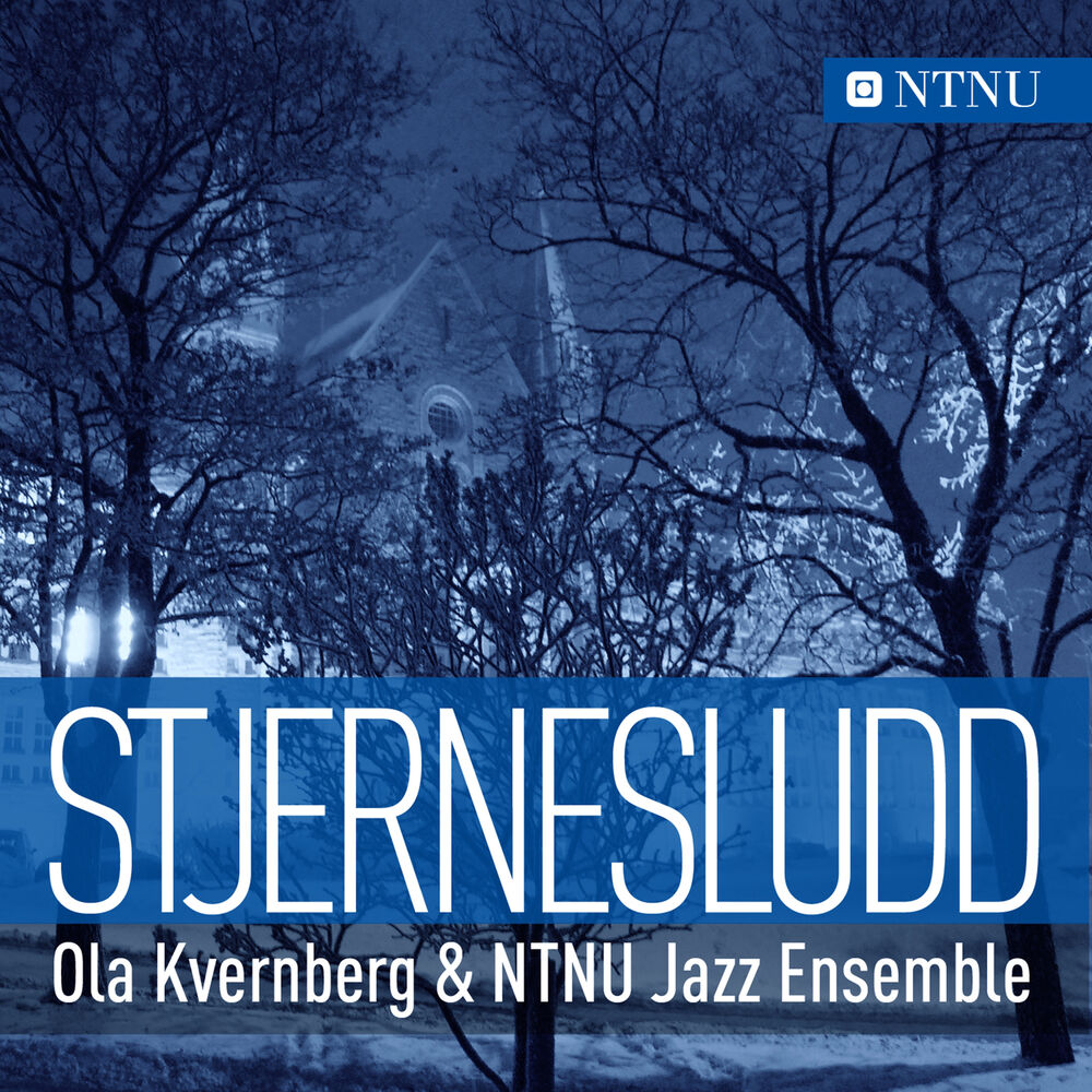 Picture of Stjernesludd