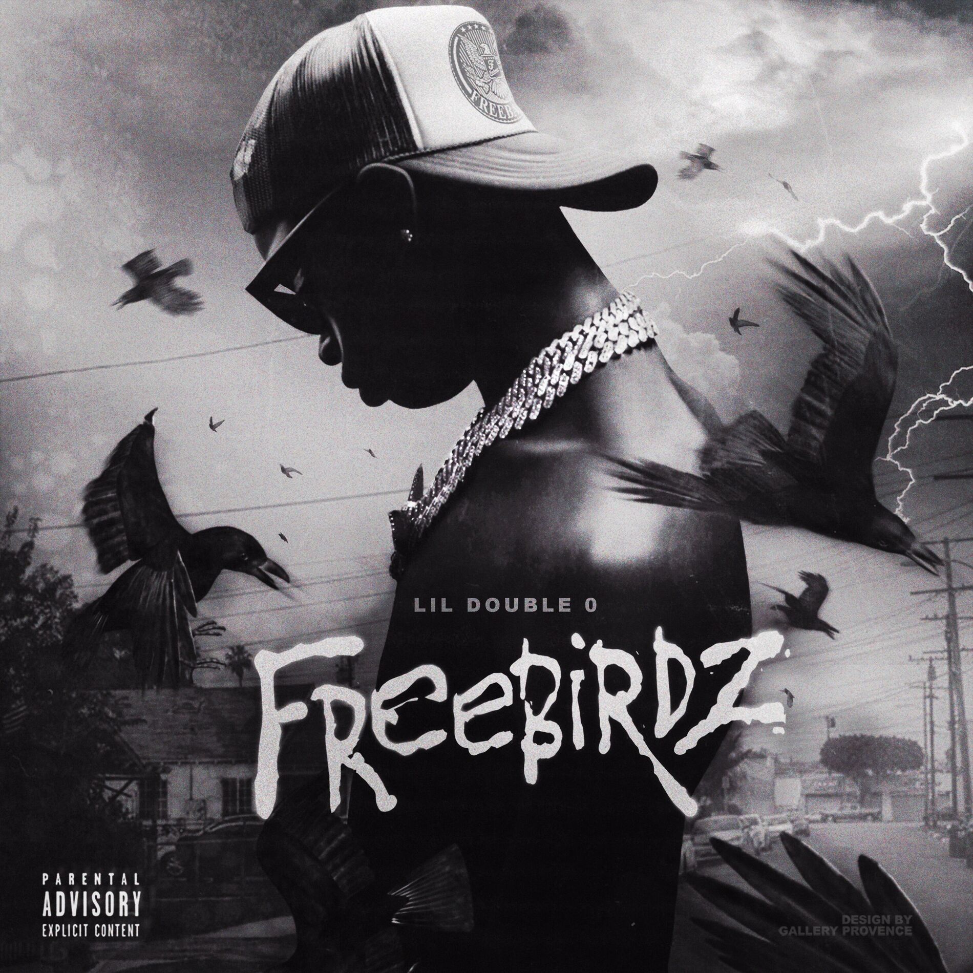 Album picture of Freebirdz