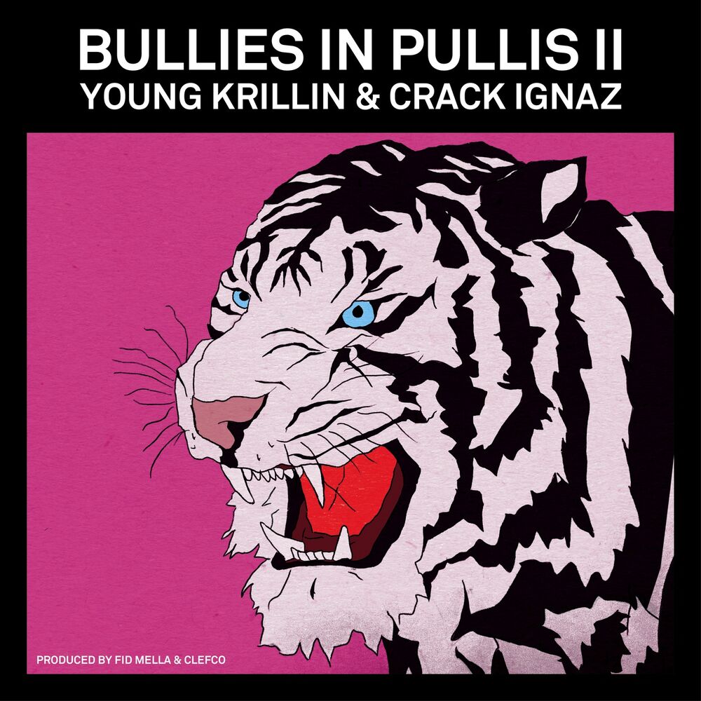 Picture of Bullies in Pullis II
