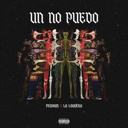 Cover of Un no puedo