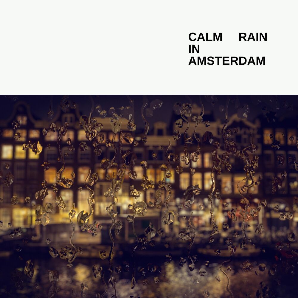 Picture of Calm Rain In Amsterdam