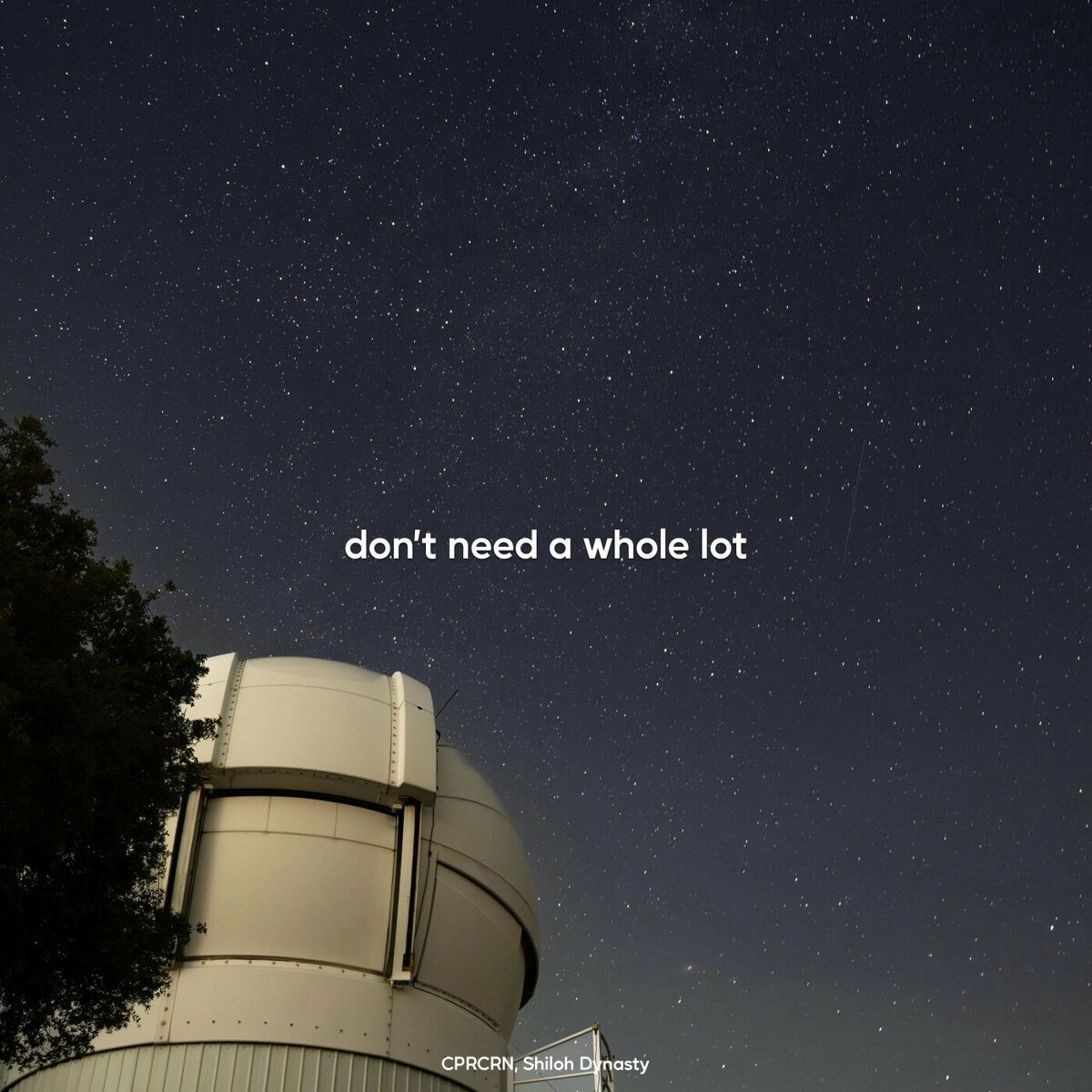 Album cover of don't need a whole lot