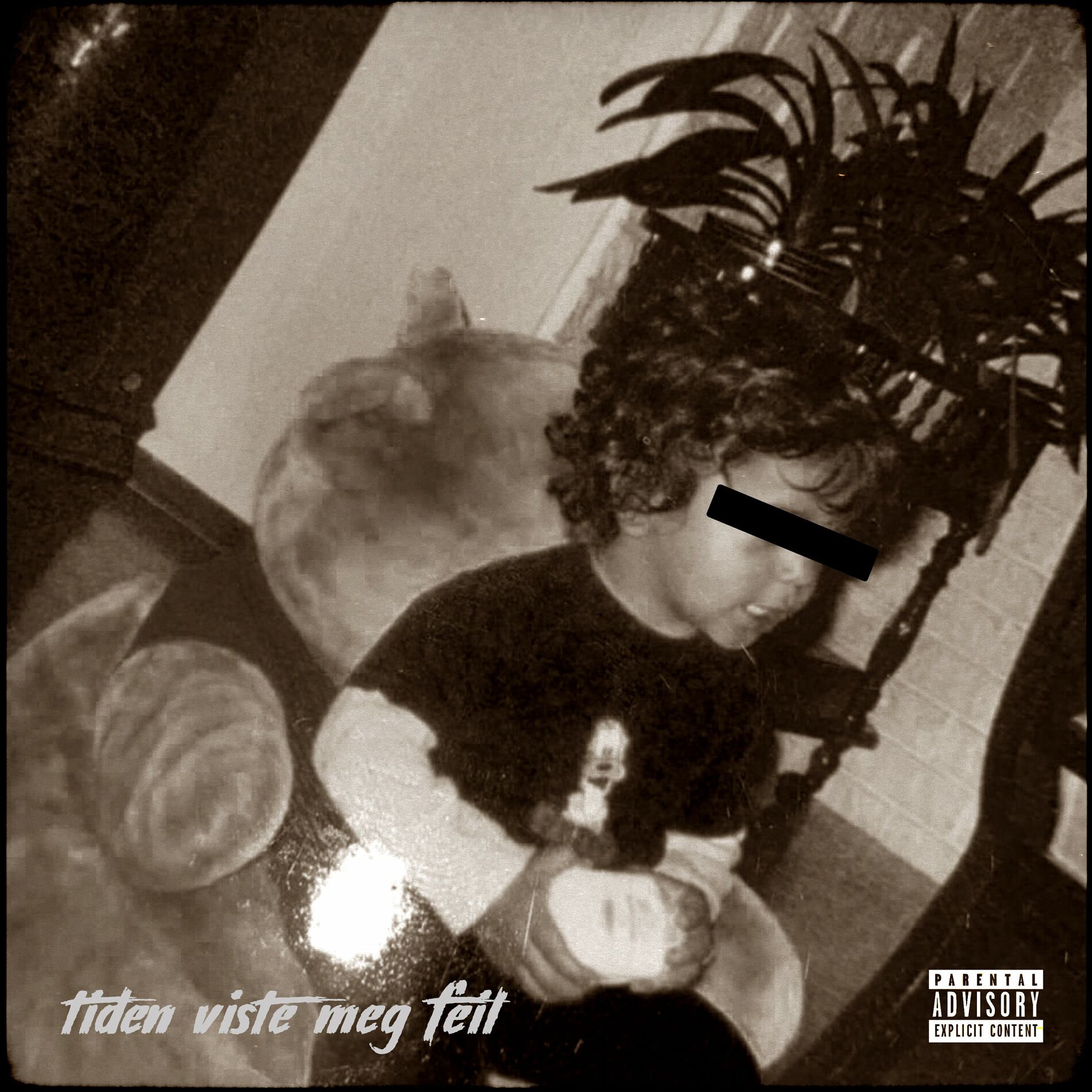 Album cover of Tiden viste meg feil