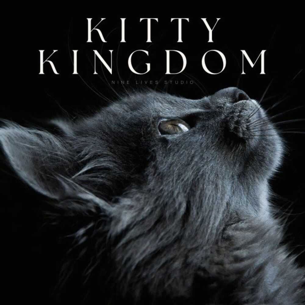 Picture of Kitty Kingdom