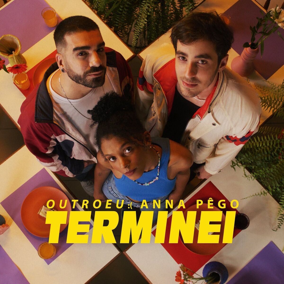 Album cover of Terminei