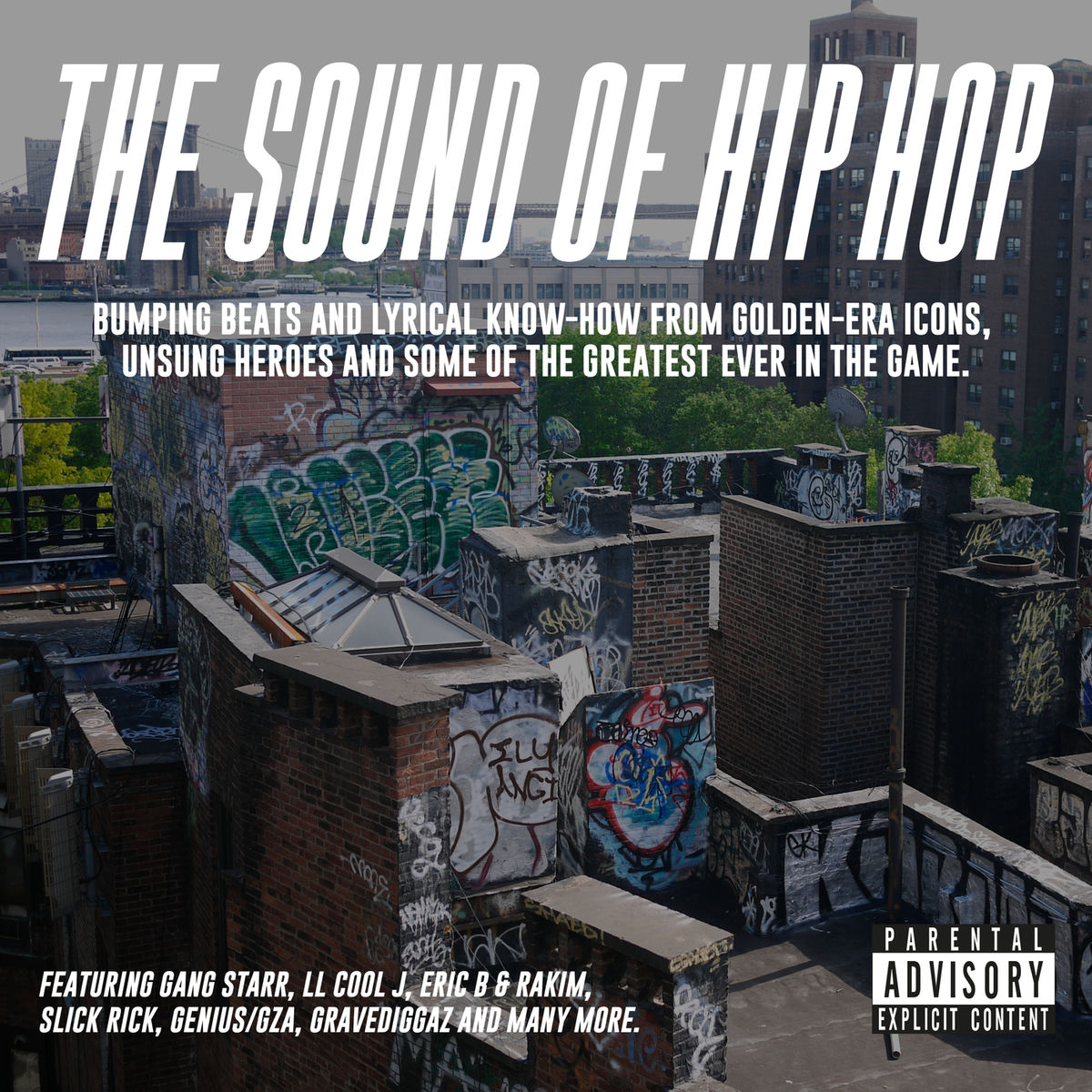 Album cover of The Sound Of Hip Hop
