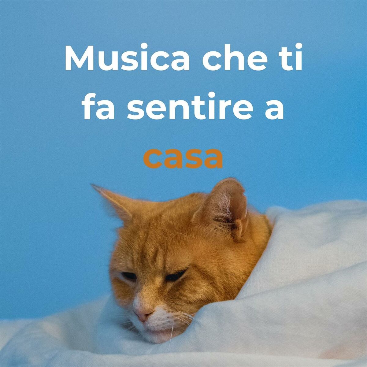 Album cover of Musica che ti fa sentire a casa