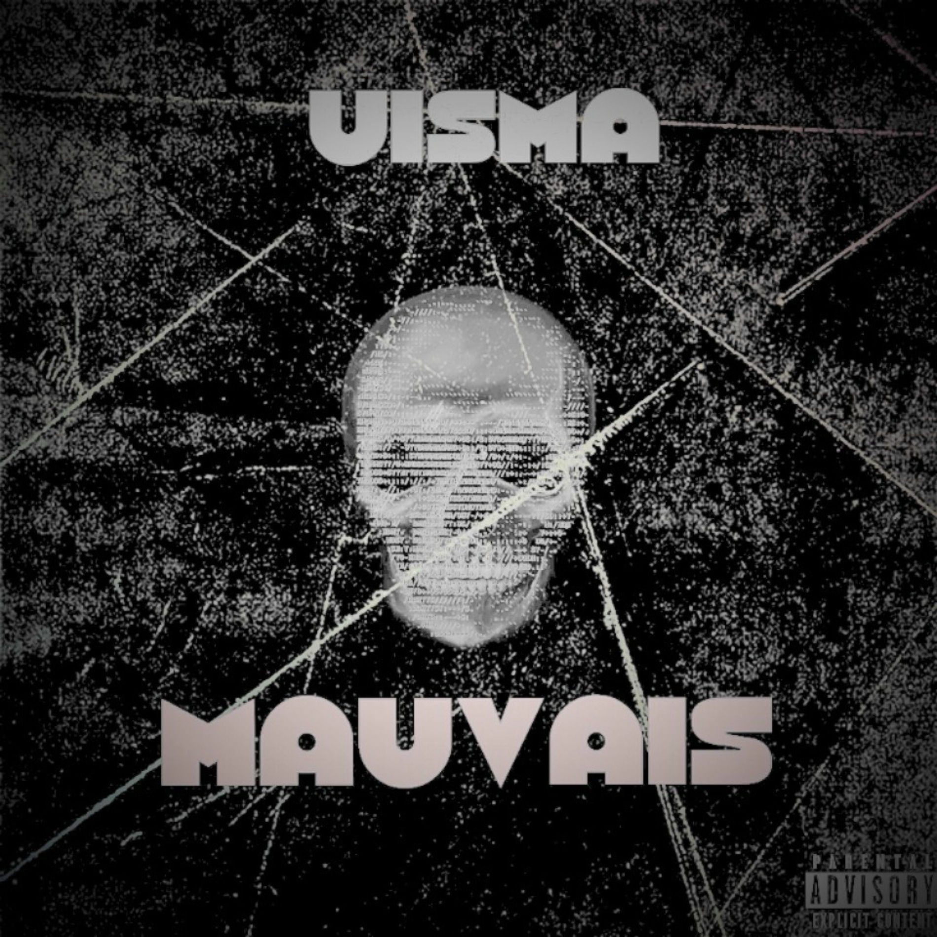 Album cover of MAUVAIS
