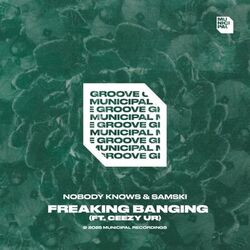 Cover of Freaking Banging