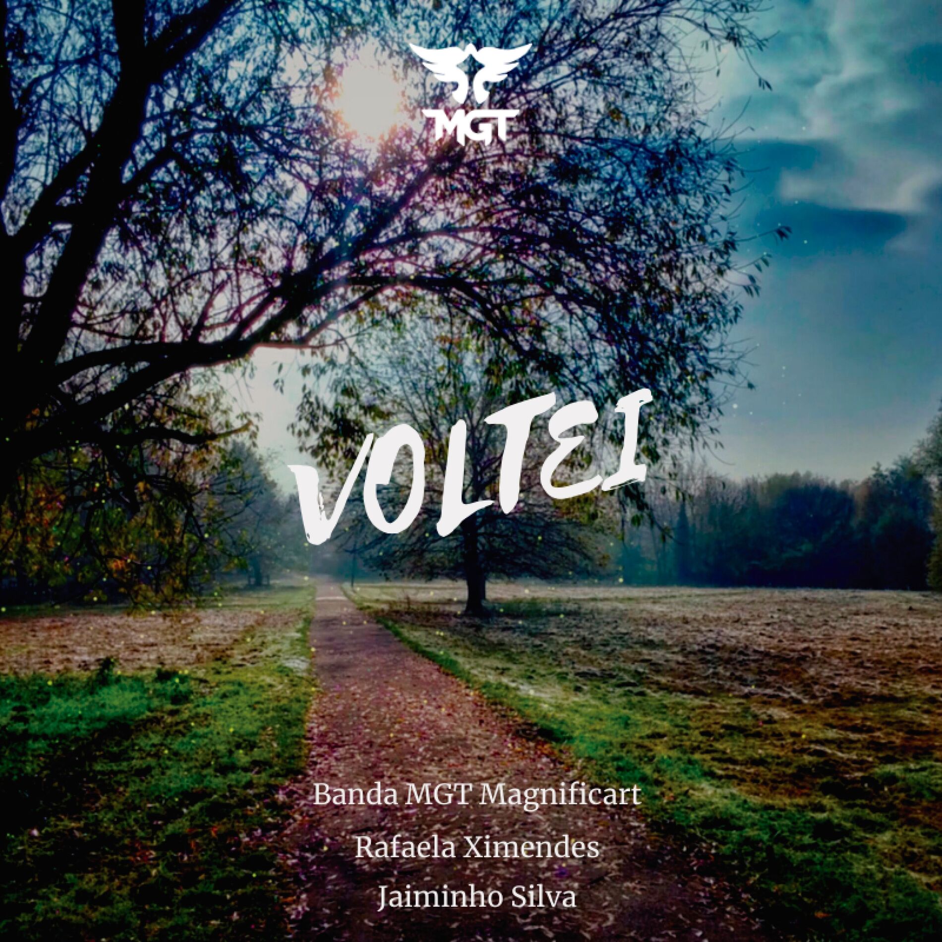 Album cover of Voltei