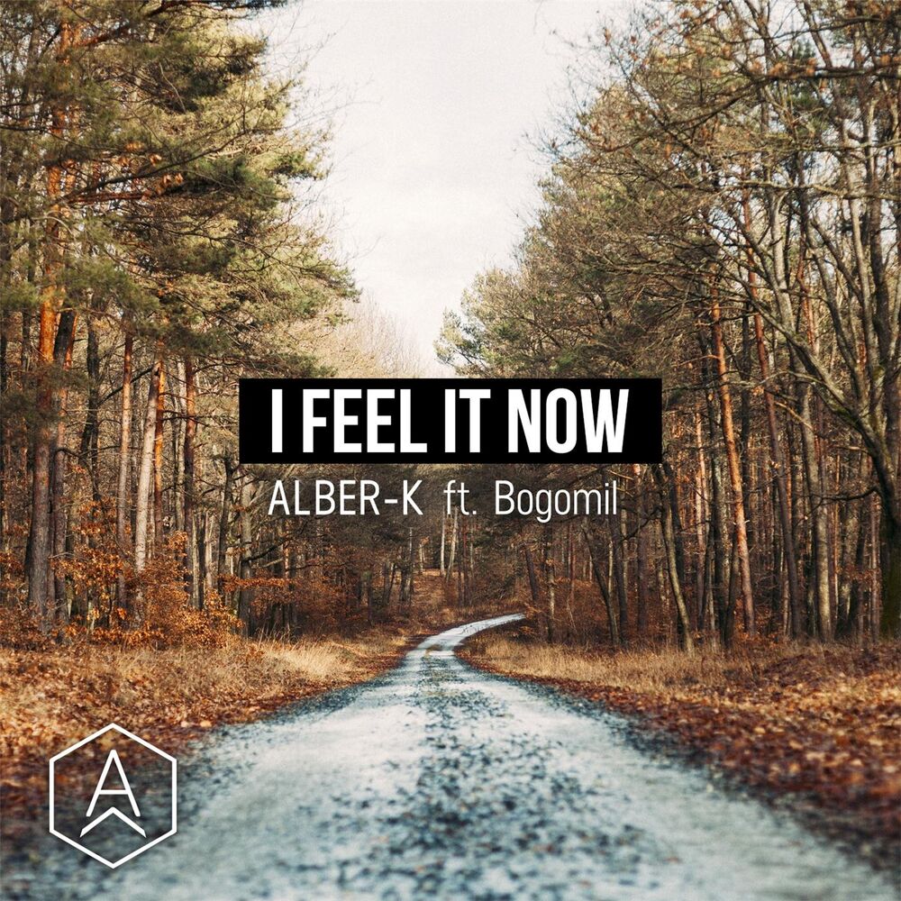 Picture of I Feel It Now