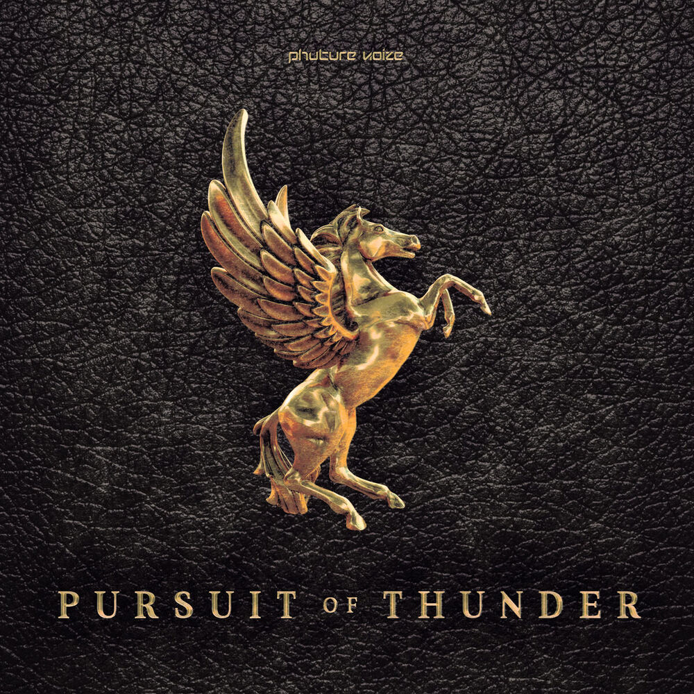 Picture of Pursuit of Thunder