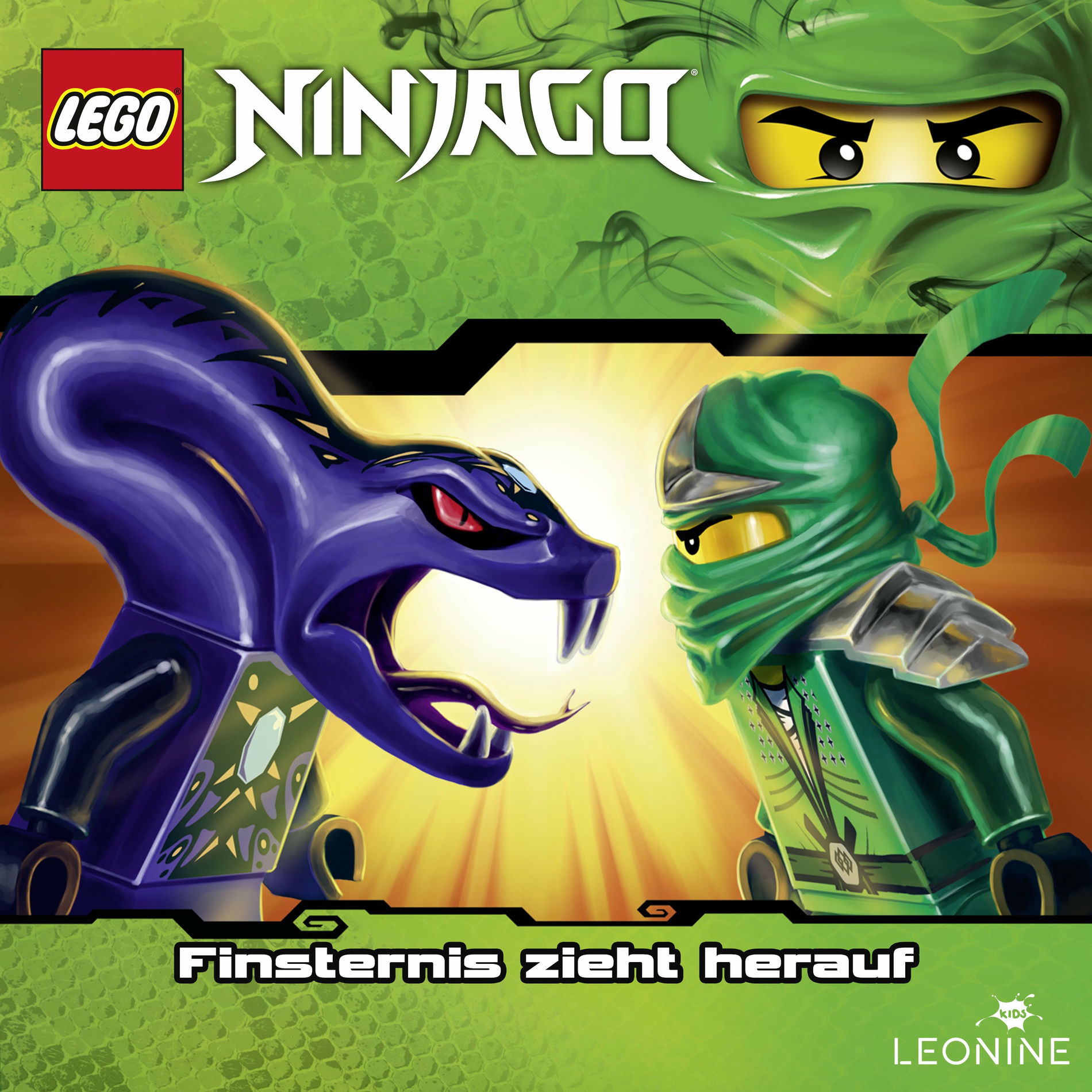 Album cover of Kapitel 01: Finsternis zieht herauf (Folge 14)
