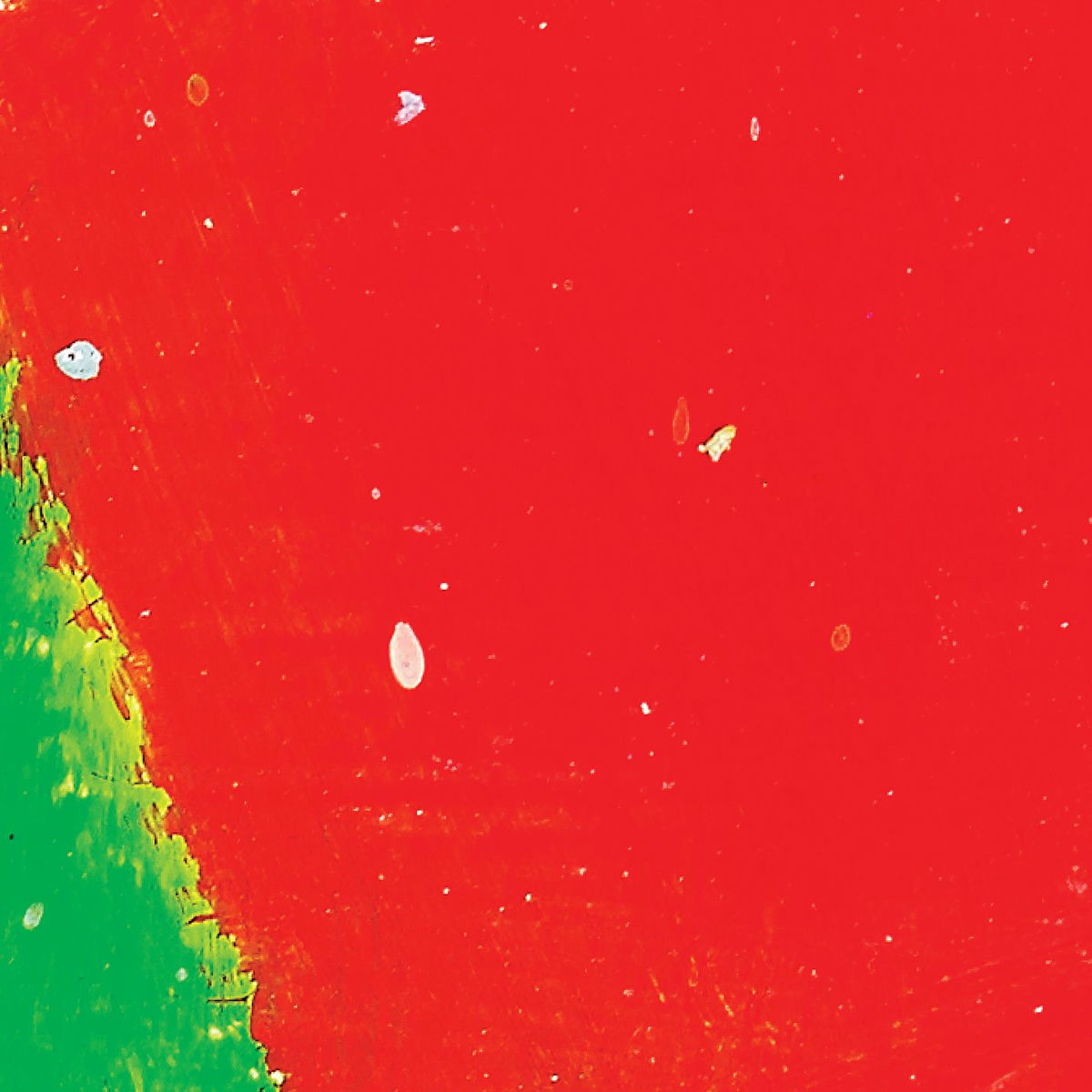 Album cover of Every Other Freckle