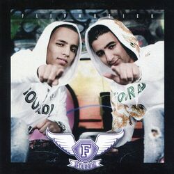 Cover of Flipmuziek