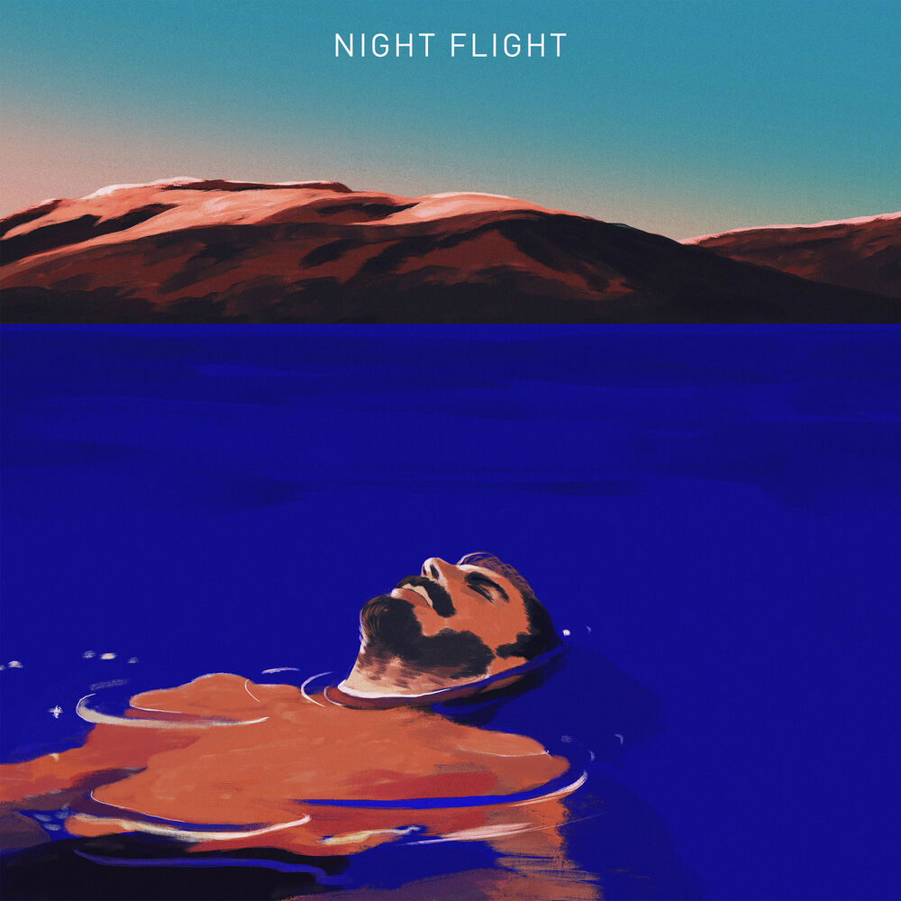 Picture of NIGHT FLIGHT