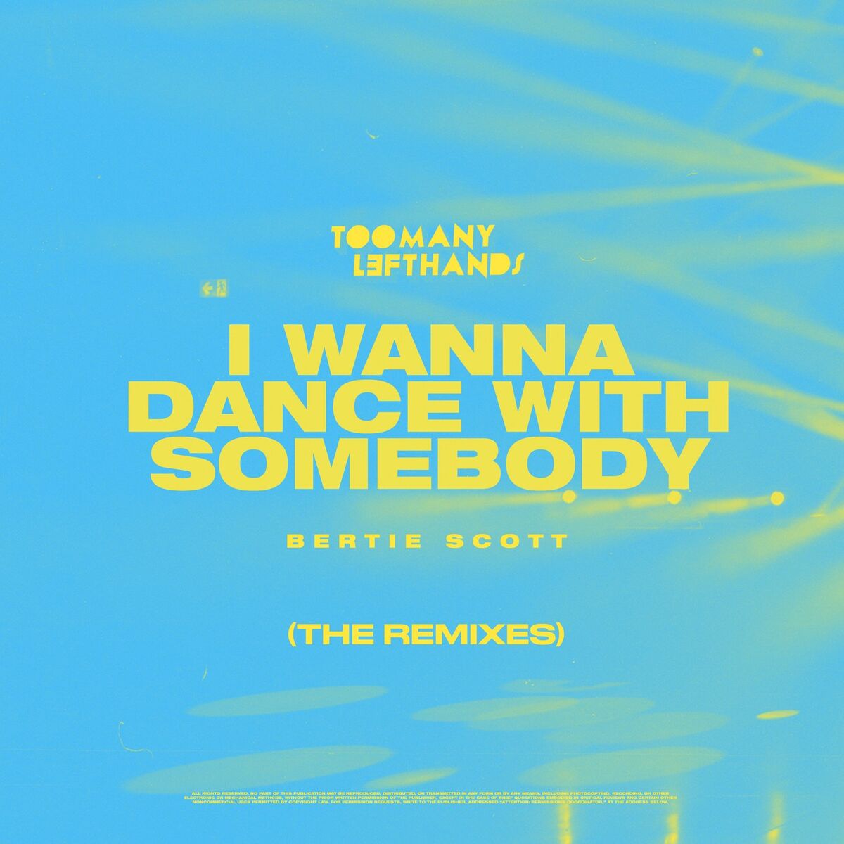 Album cover of I Wanna Dance with Somebody