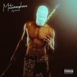 Cover of Metamorphosis
